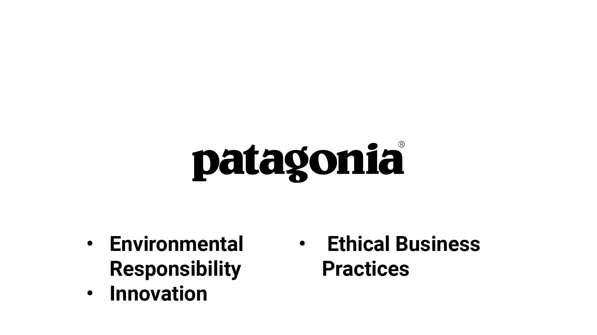 Patagonia Brand values