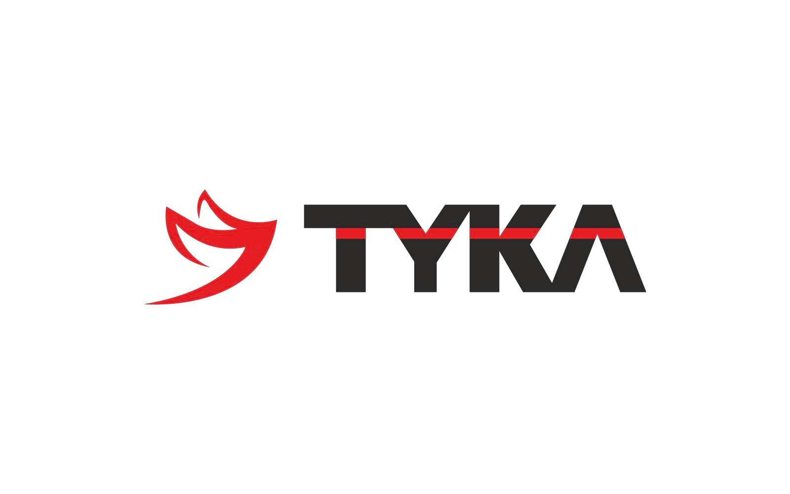 Tyka Brand Identity